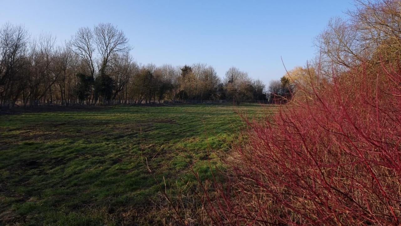 West Farm Cottage Godmanchester 외부 사진