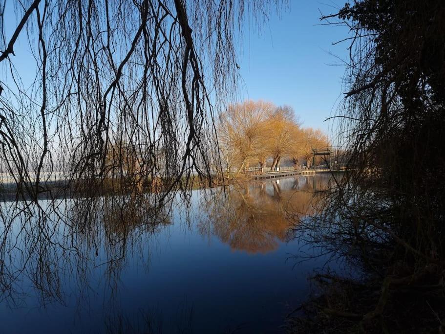 West Farm Cottage Godmanchester 외부 사진